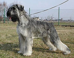 2003062701_12.jpg, 250x197 px. (31613 bajtov)